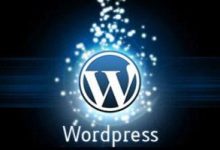 WordPress 文章目录免插件代码方法-水东柳博客