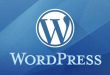 WordPress的一些优化分享-水东柳博客